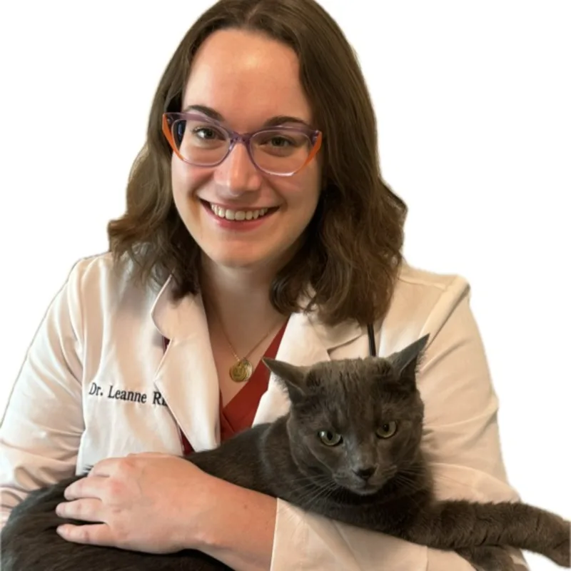 Dr. Leanne Riso Dr. Leanne Riso