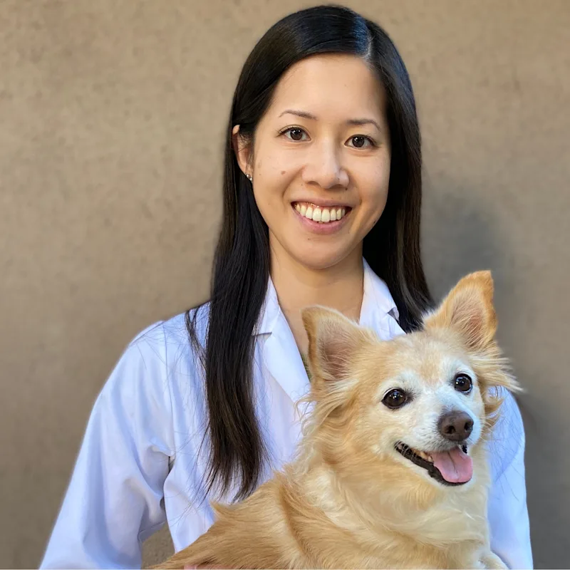 Dr. Agna Mung Dr. Agna Mung