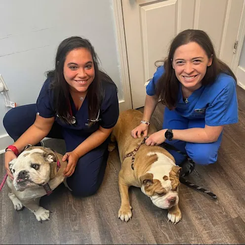 Dr. Croy and Dr. Nabavi with two bulldogs Dr. Croy and Dr. Nabavi with two bulldogs