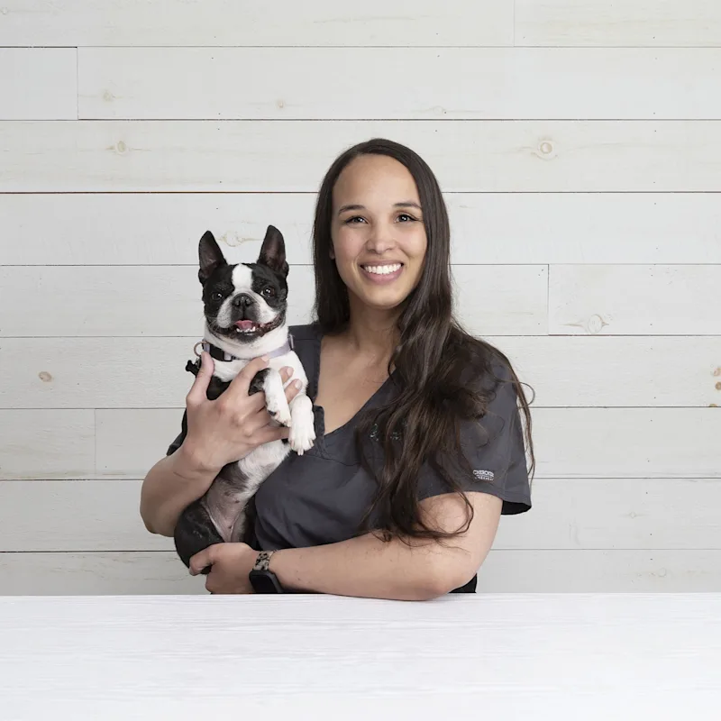 Dr. Michaela Ratteray, DVM Dr. Michaela Ratteray, DVM