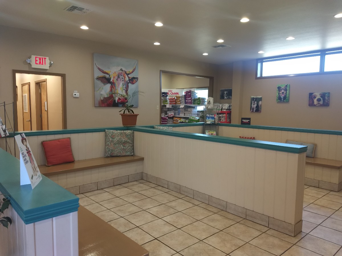 AMC Kingsville Lobby