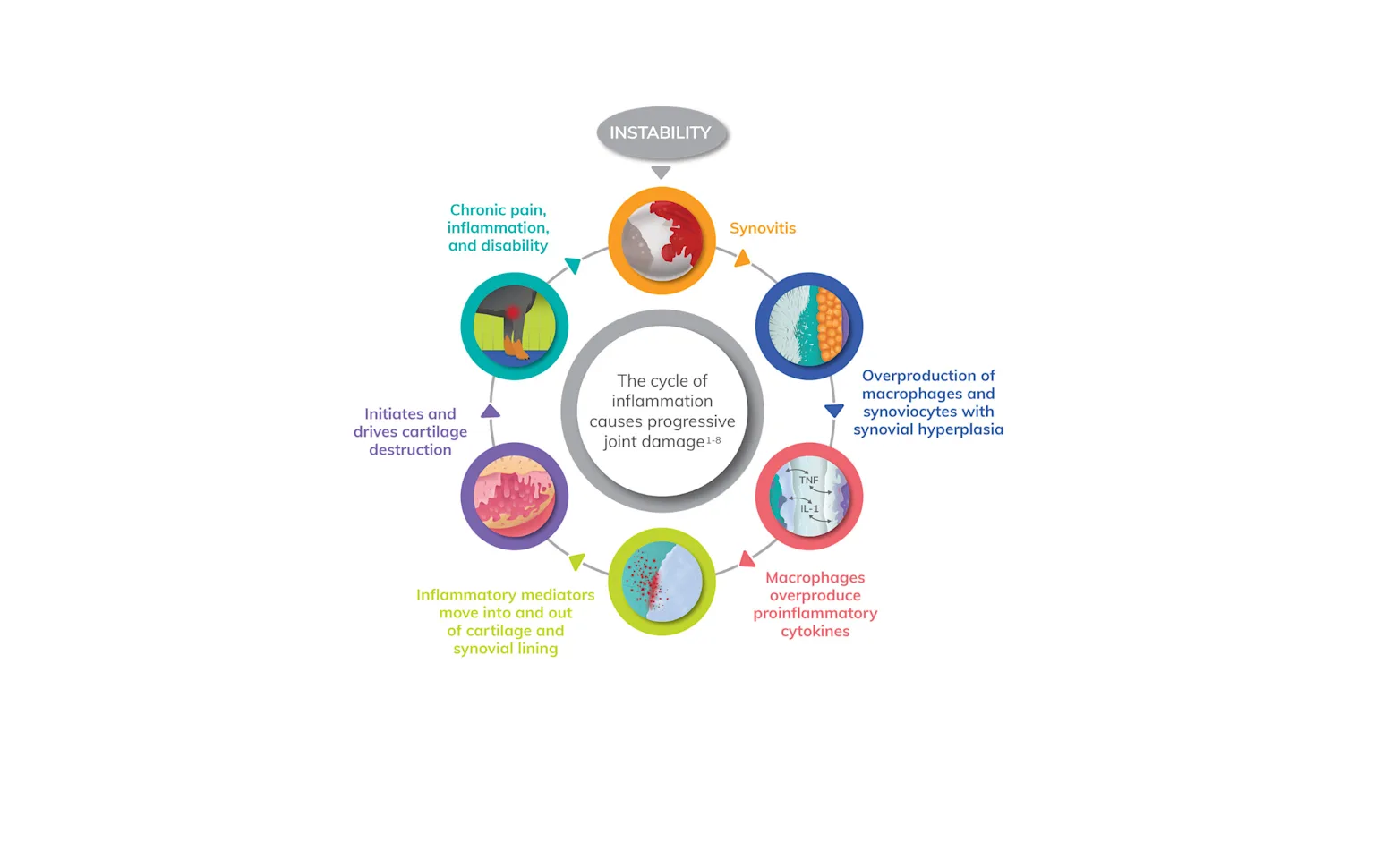 Understanding Canine Osteoarthritis Understanding Canine Osteoarthritis