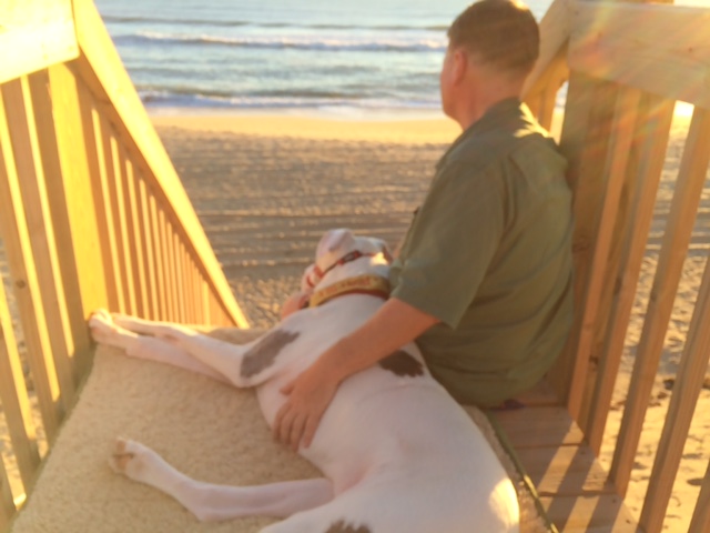 Man with a dog at the beach