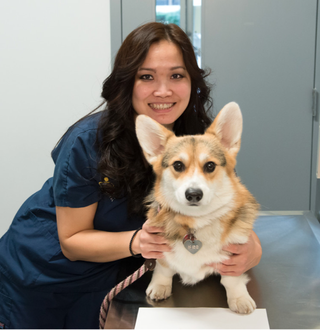 Vet with dog