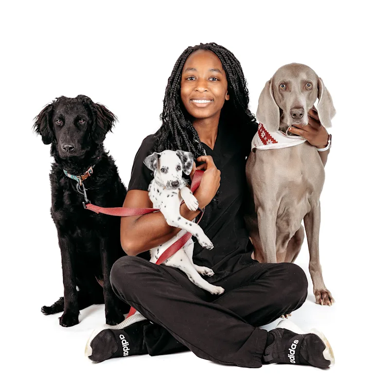 Dr. Tiara Wiggins Dr. Tiara Wiggins