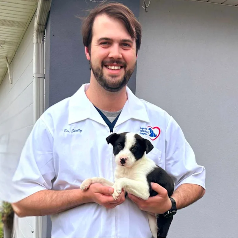 Dr. Philip Stelly Dr. Philip Stelly