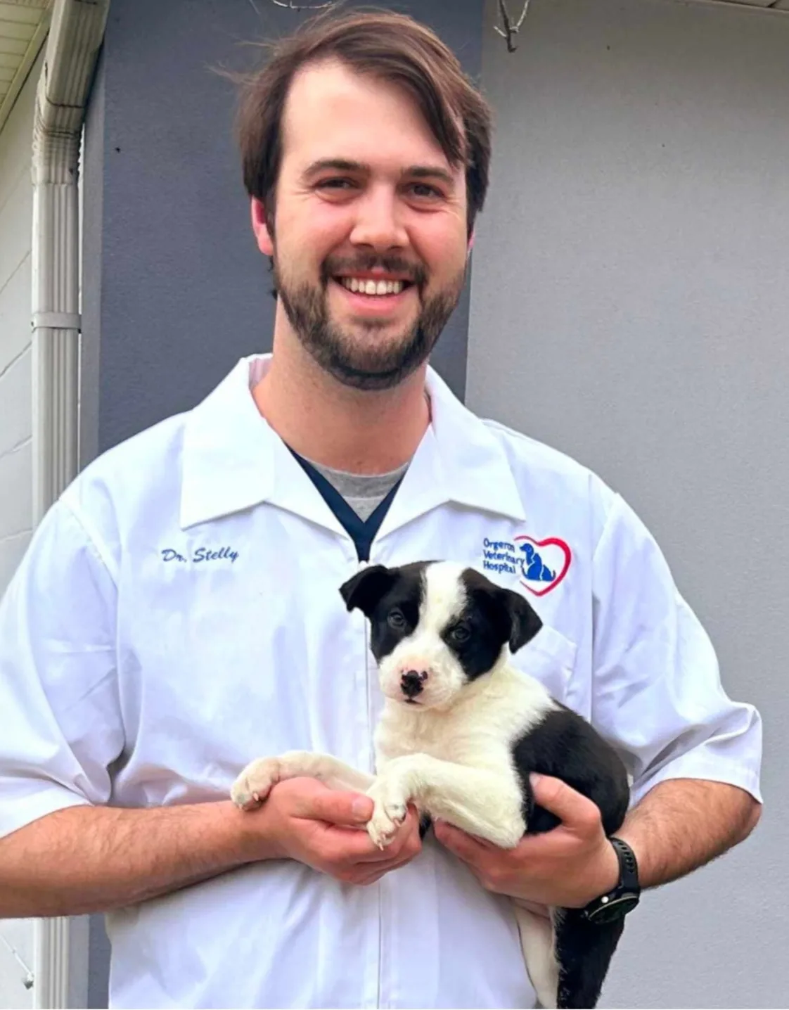 Dr. Philip Stelly Dr. Philip Stelly