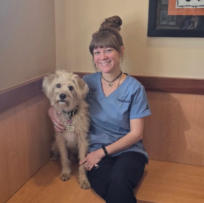 Stephanie Hintz, staff at Arvada Flats Veterinary Hospital