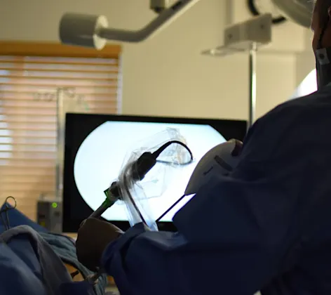 Laparoscopic Surgery at Animal Medical Center of Hattiesburg.