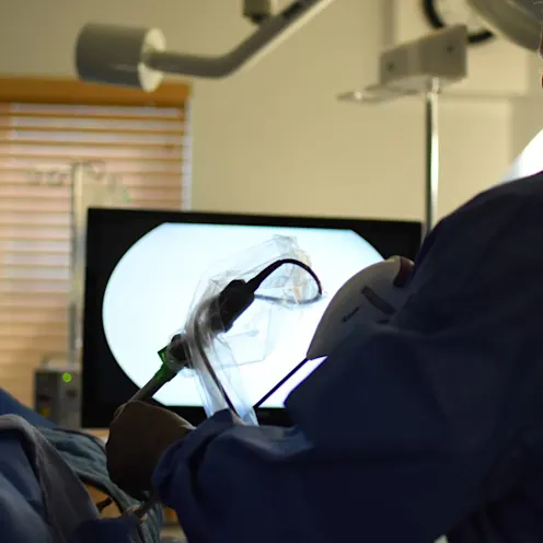 Laparoscopic Surgery at Animal Medical Center of Hattiesburg. Laparoscopic Surgery at Animal Medical Center of Hattiesburg.