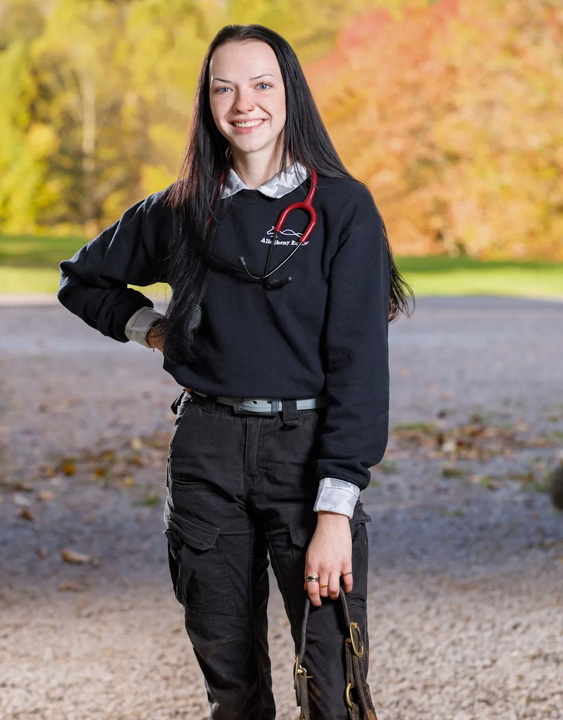 Stencil horse Stencil horse