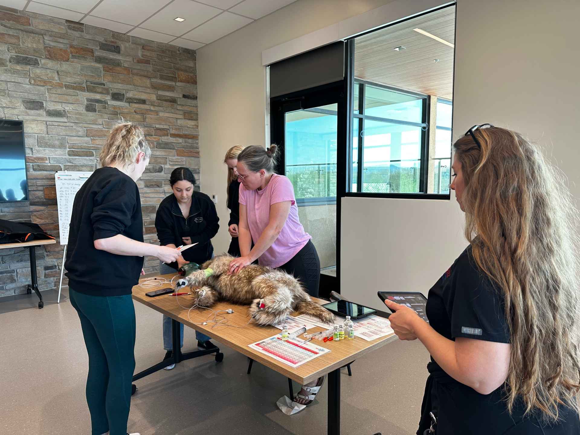 Staff performing CPR on a mannequin