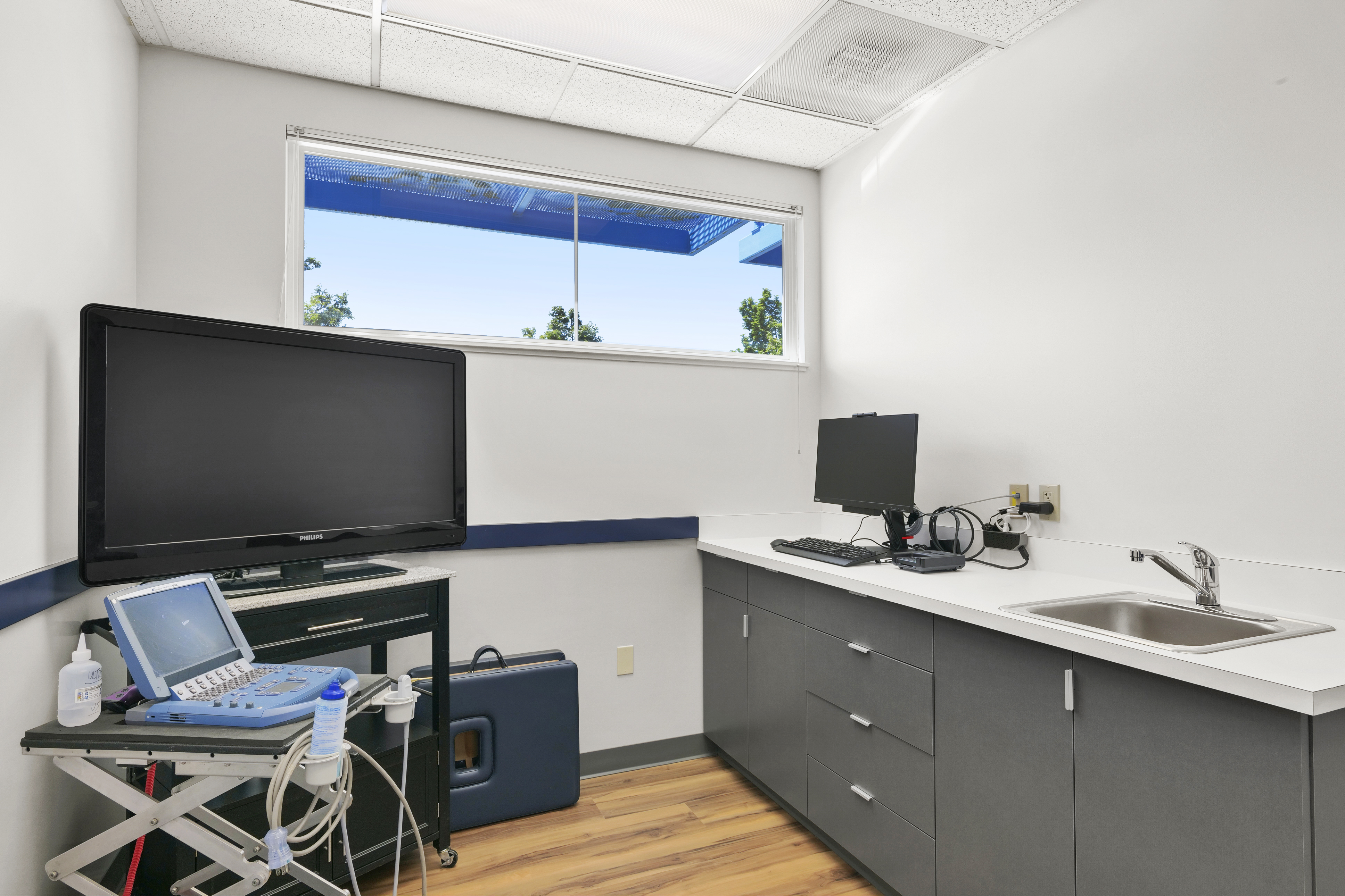 An Exam Room at Tigard Animal Hospital