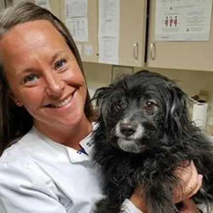 Kim - Veterinary Assistant holding a black scruffy dog at Animal Care Clinic West & Metro Cat Hospital