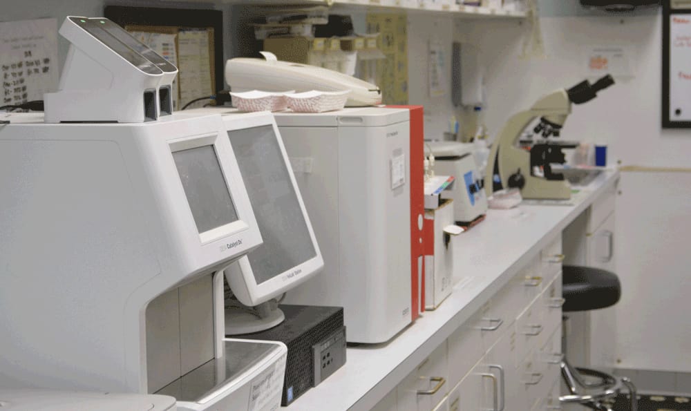 counter with lab equipment at Hidden Valley Animal Hospital