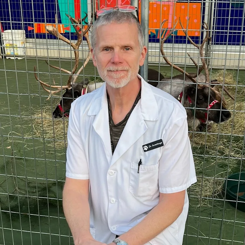 Dr. Cory Armitage Dr. Cory Armitage