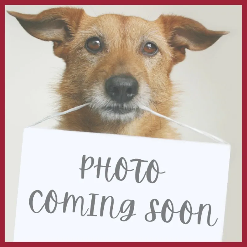 Nathalie Rodriguez Nathalie Rodriguez