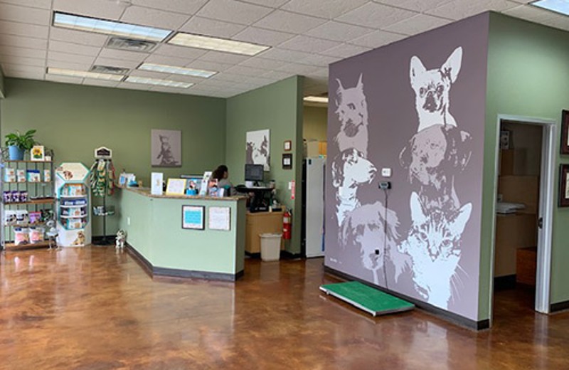 View of Waiting Room with Front Desk