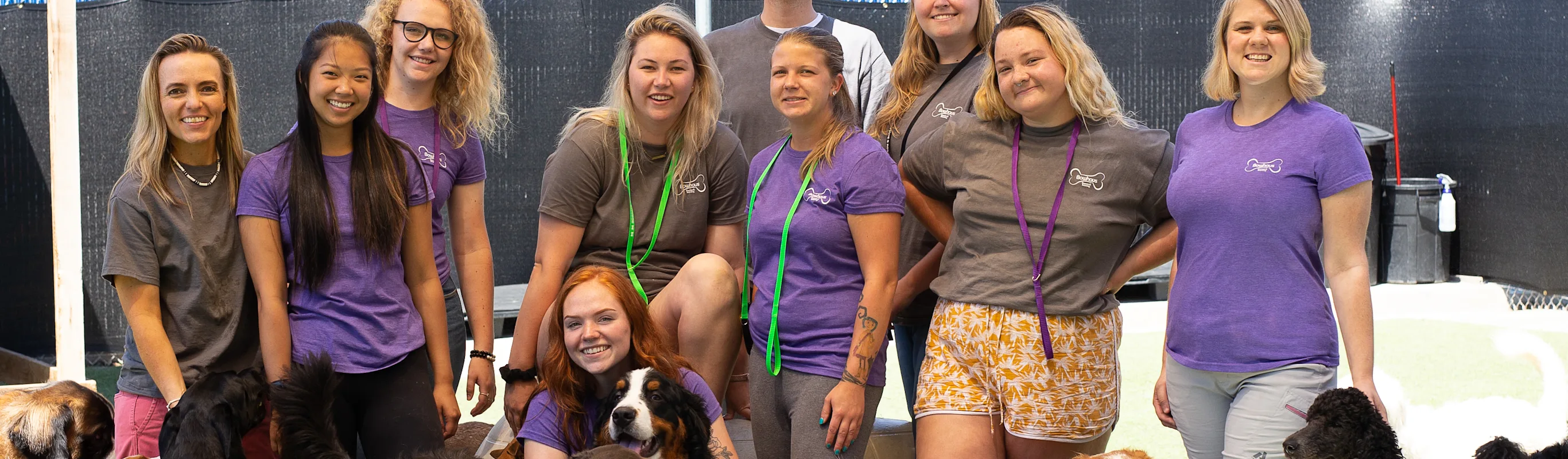 Staff group photo at Bowhaus Colorado dog daycare and grooming Staff group photo at Bowhaus Colorado dog daycare and grooming