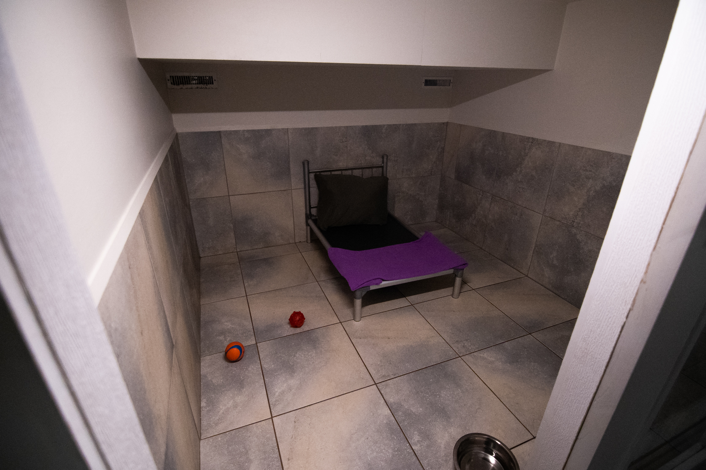 Breed Above Boarding Suites