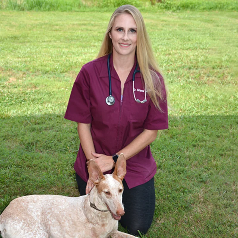 Dr. Brianna R. Horricks' staff photo with her German Shephard in the picture with her for Ferry Farm Animal Clinic's photo op. Dr. Brianna R. Horricks' staff photo with her German Shephard in the picture with her for Ferry Farm Animal Clinic's photo op.