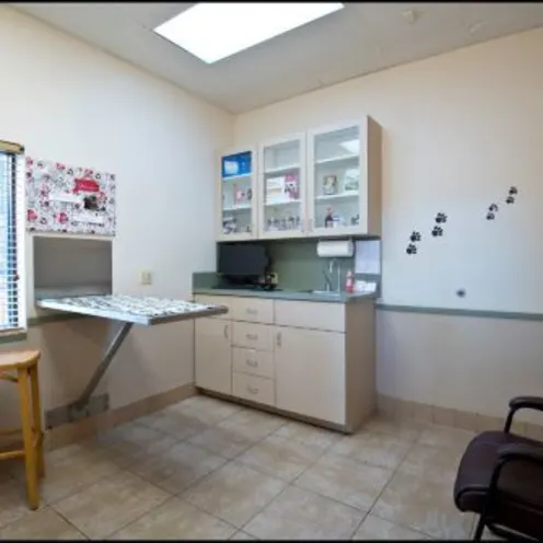Waterford Lakes Animal Hospital Examination Area Waterford Lakes Animal Hospital Examination Area