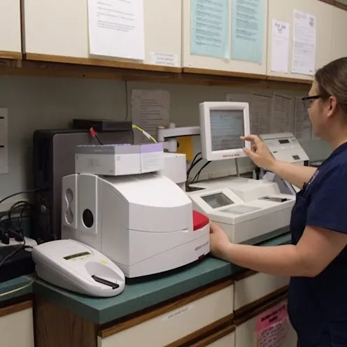 Coventry Animal Hospital Surgery Coventry Animal Hospital Surgery