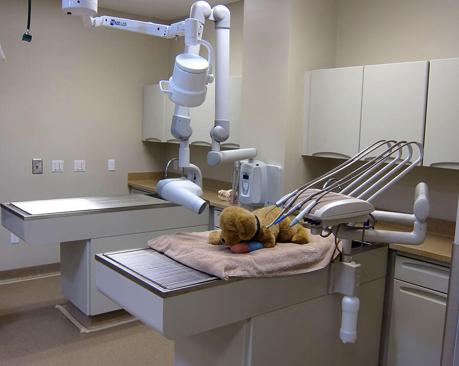 A look at one of our hospital rooms with a plush dog