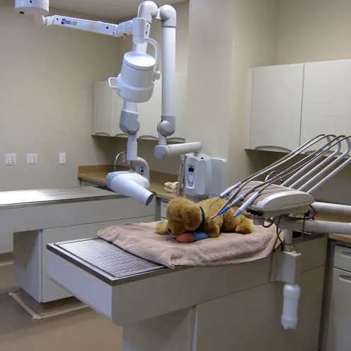 A look at one of our hospital rooms with a plush dog