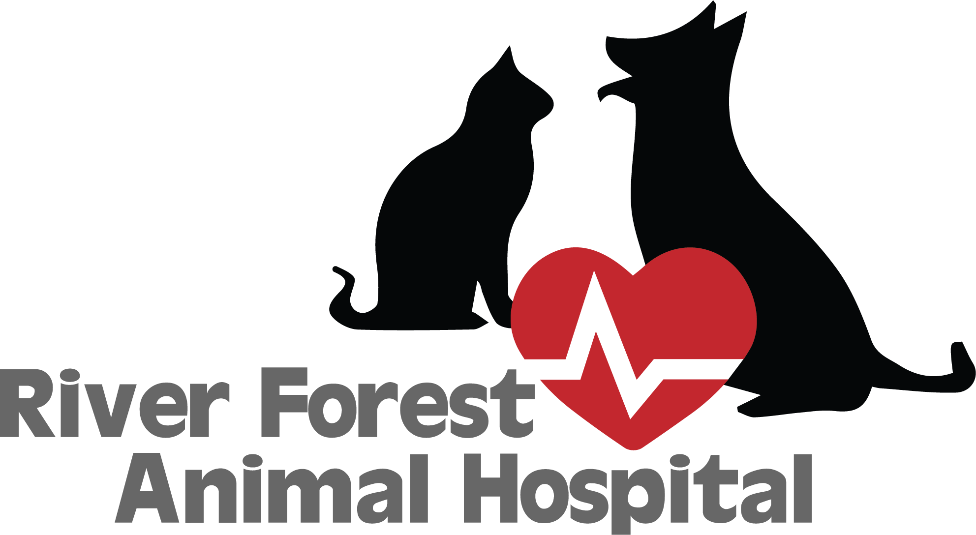 park forest animal hospital il