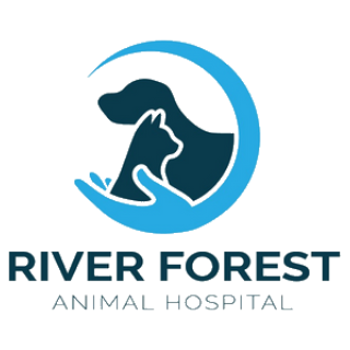 Homepage | River Forest Animal Hospital