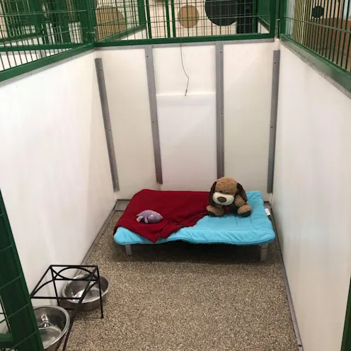 Boarding room front angle Boarding room front angle