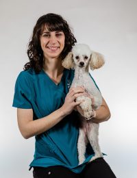 northgate pet clinic staff