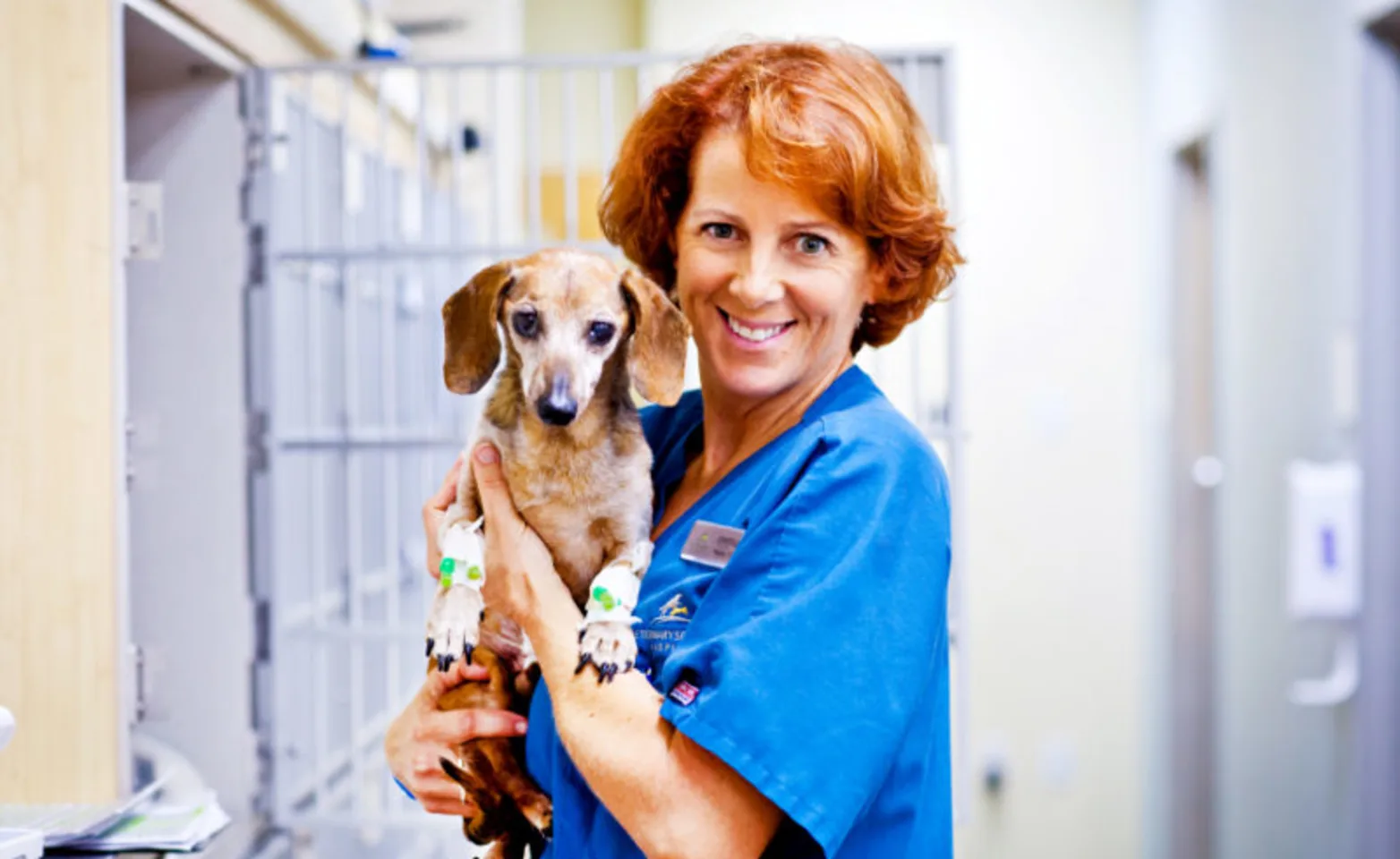 Staff member holding a small dog