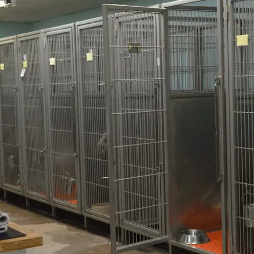 boarding kennels at Hidden Valley Animal Hospital