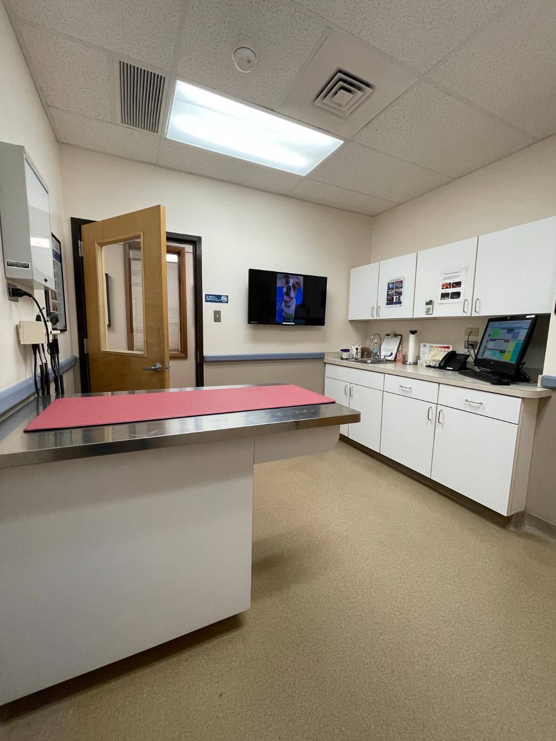 Exam Room at Ludwig's Corner Veterinary Hospital