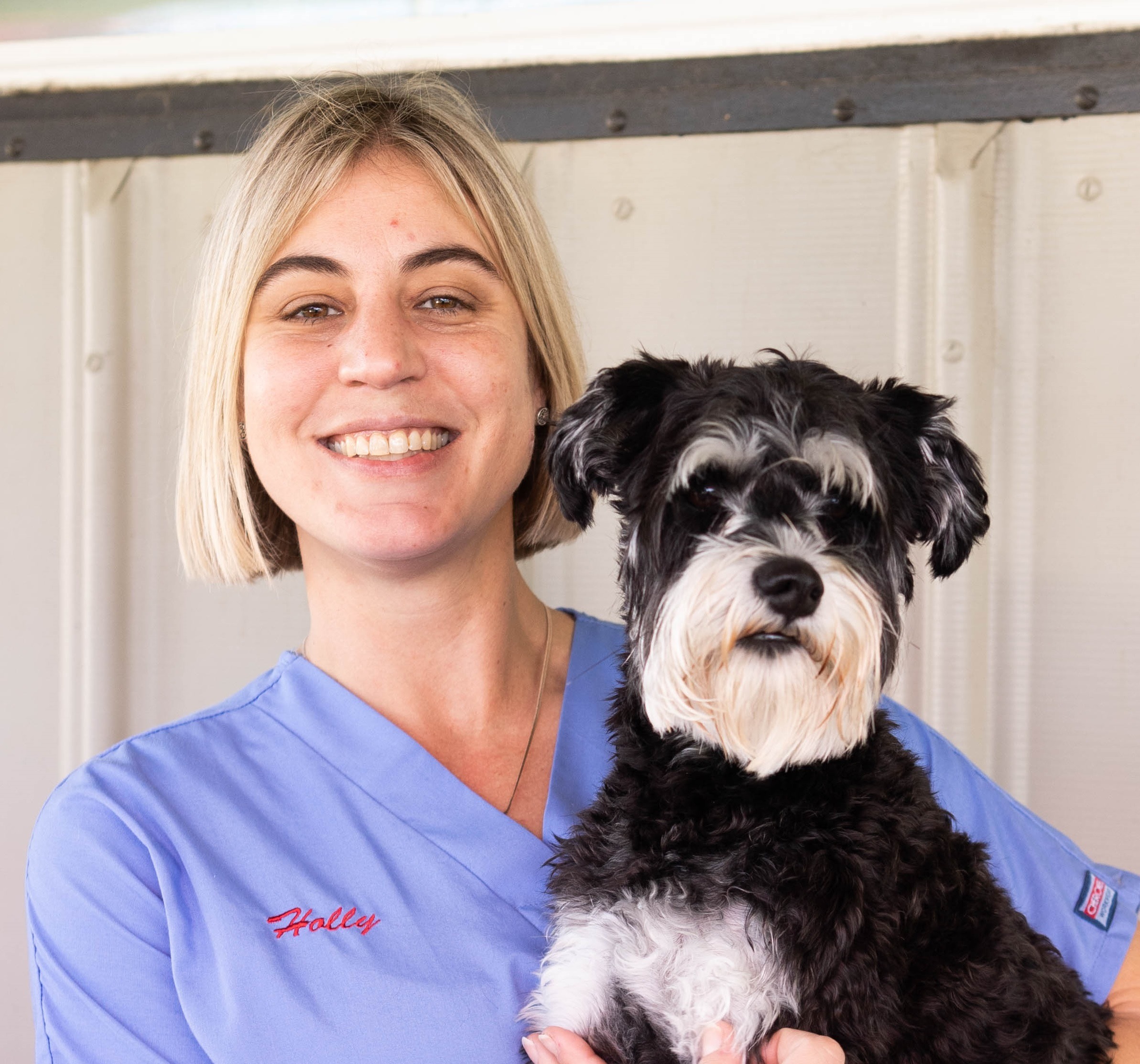 Homepage | Lafayette Veterinary Care Center