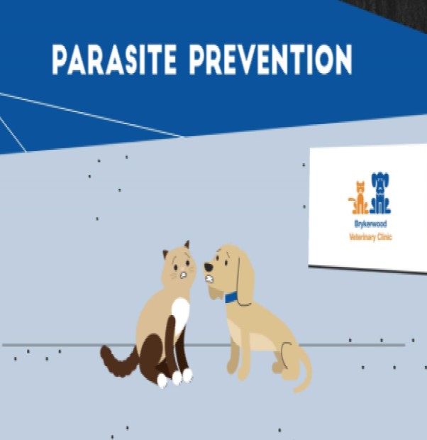 Parasite Prevention