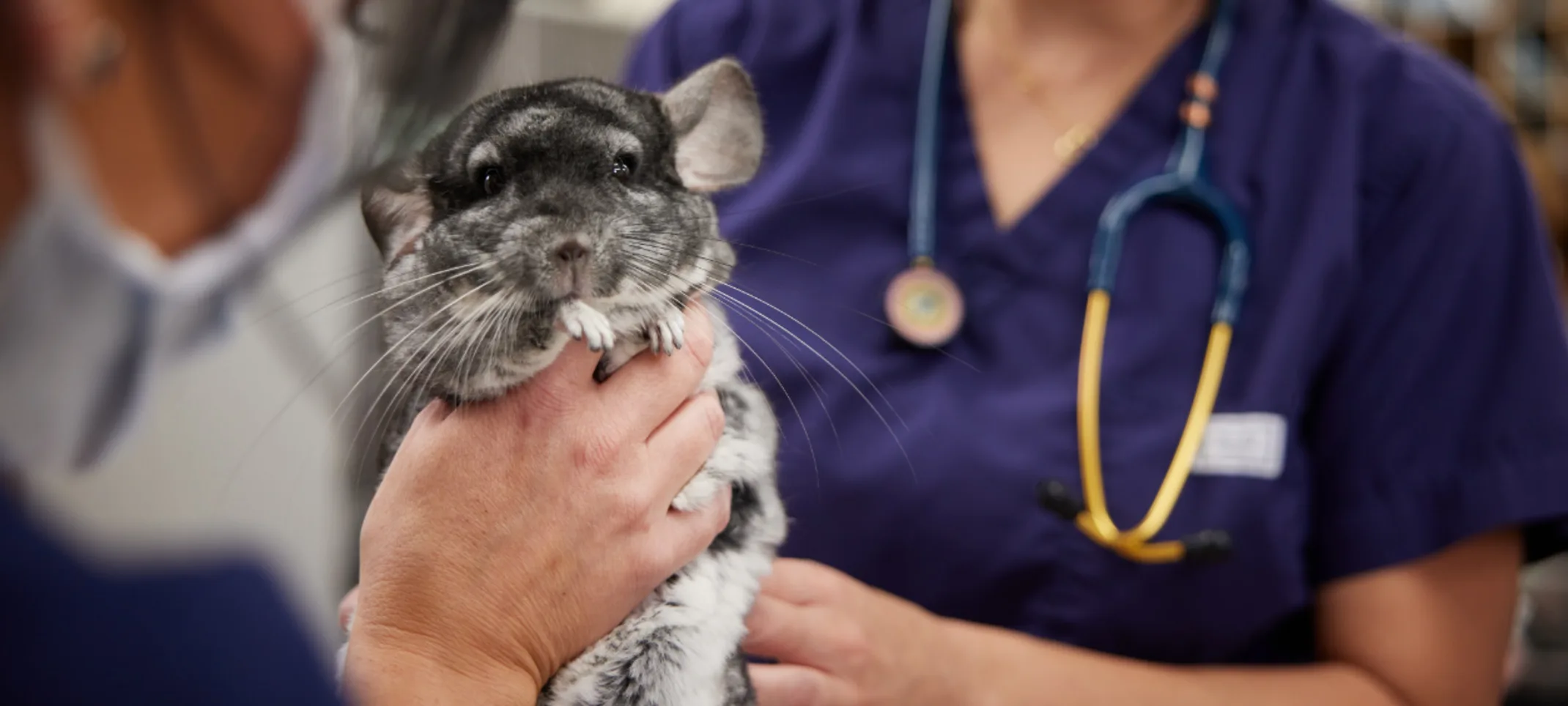 Staff Members Holding an Exotic Pet Staff Members Holding an Exotic Pet