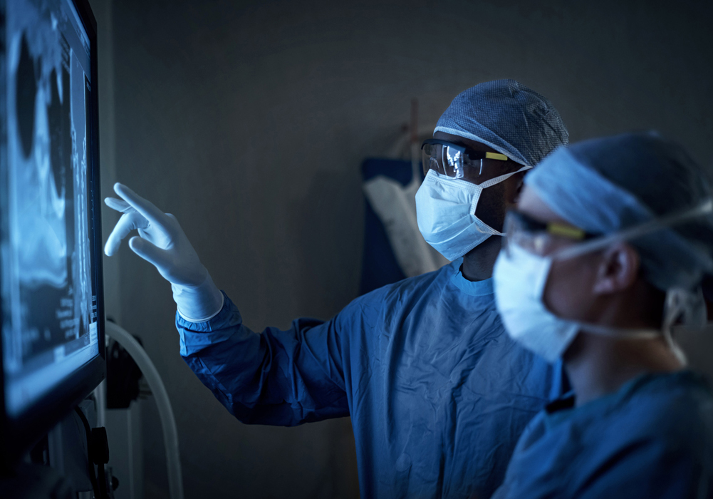 Two veterinarians standing next to each other analyzing a digital radiograph