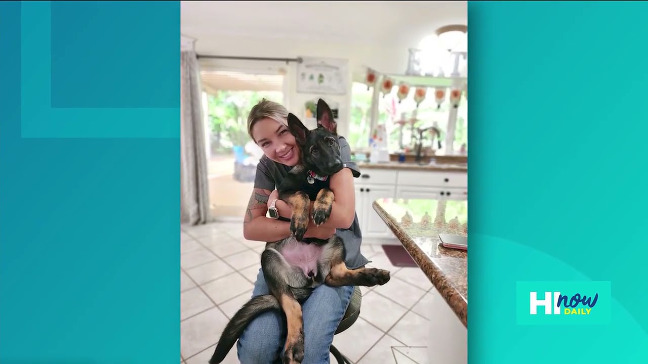 Freya's Journey Thumbnail