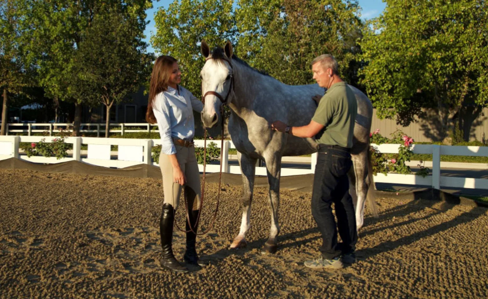 Two Veterinarians Standing with a Gray Horse Outside at Bayhill Equine