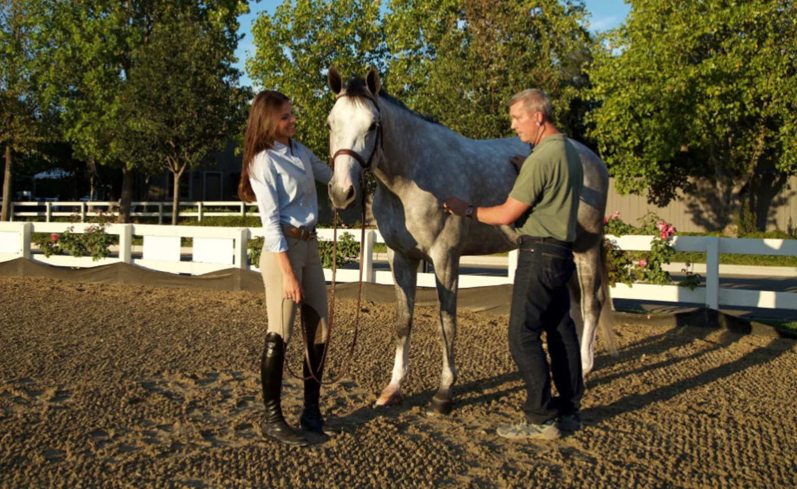 Two Veterinarians Standing with a Gray Horse Outside at Bayhill Equine Two Veterinarians Standing with a Gray Horse Outside at Bayhill Equine