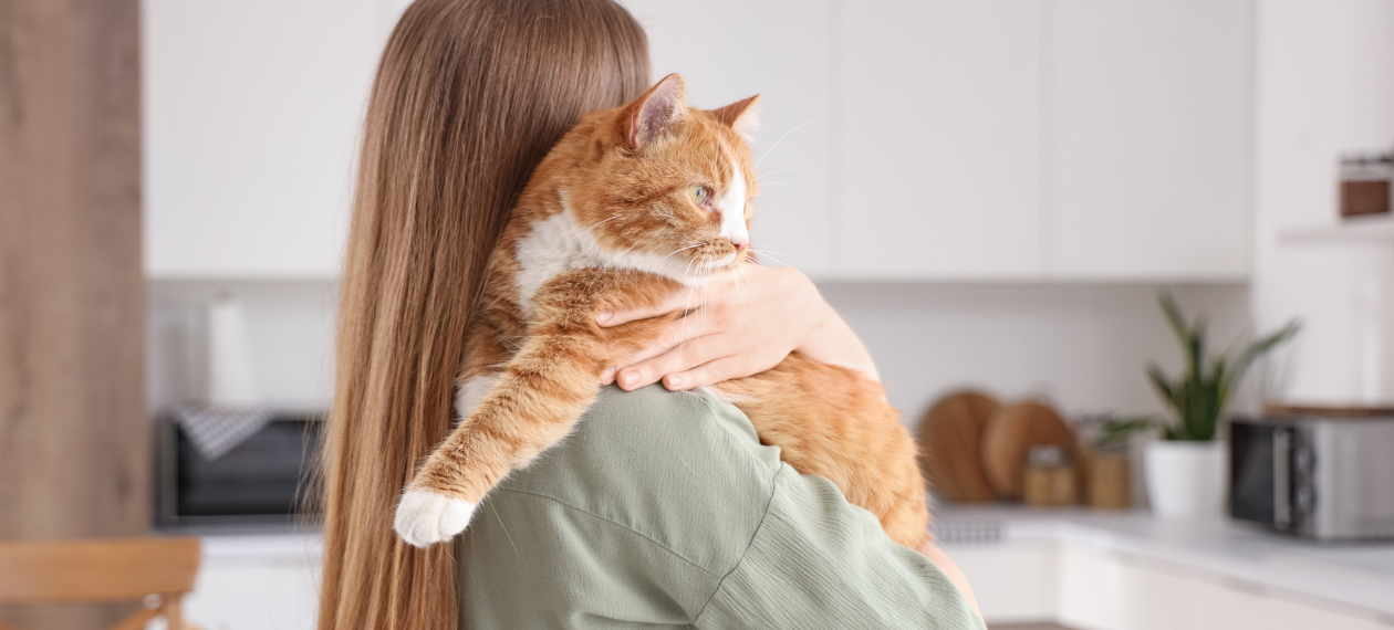 Girl Carrying an Orange Cat