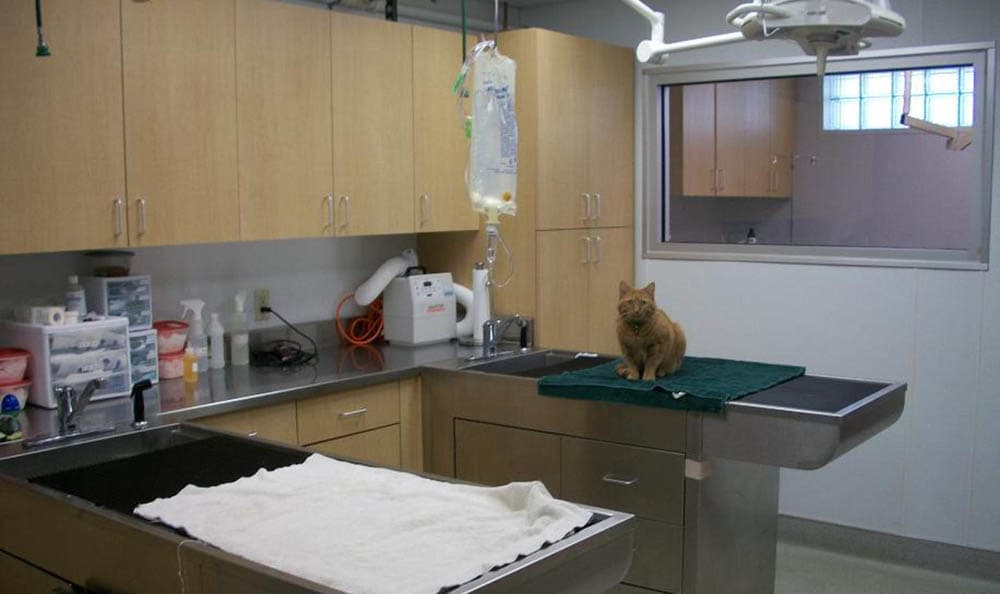 Thiensville-Mequon Small Animal Clinic Exam Area