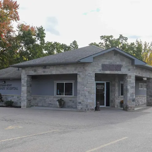 Outside View Outside View