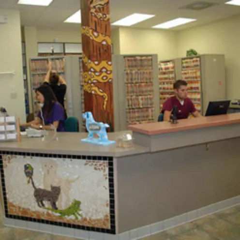 Staff and front desk area. Staff and front desk area.