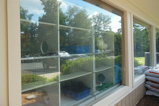 Cat Atrium as seen through large glass windows at Animal Hospital of Signal Mountain