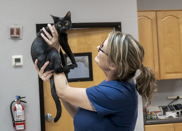 Holli Holding a Black Cat