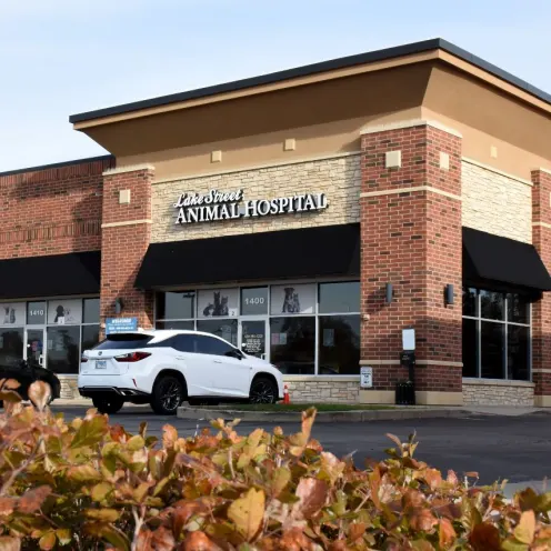 Front Exterior at LSAH Front Exterior at LSAH